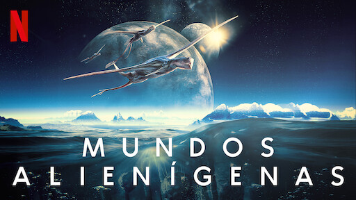 imagen recuadro