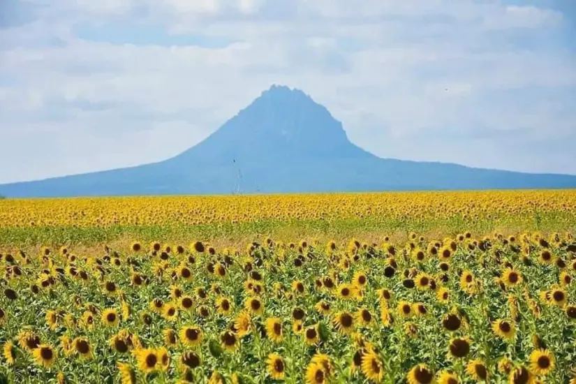 imagen recuadro imagen recuadro