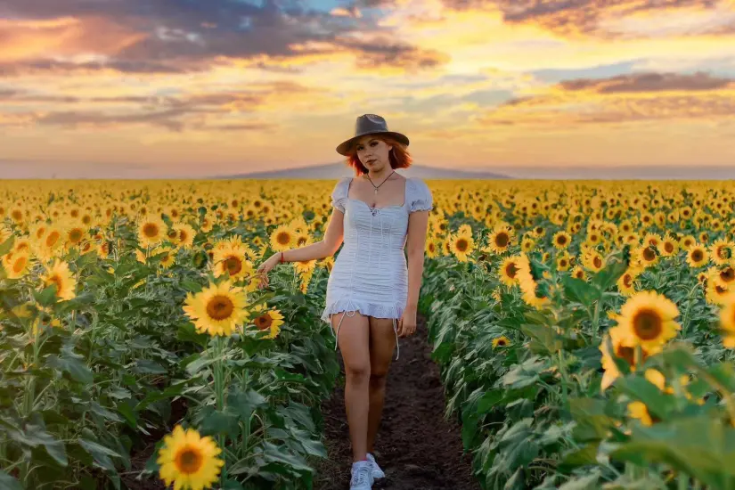 imagen recuadro imagen recuadro