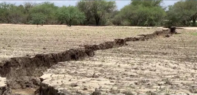 imagen recuadro imagen recuadro