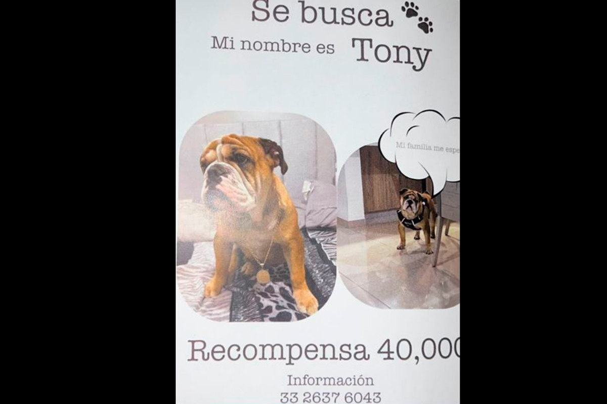 imagen recuadro