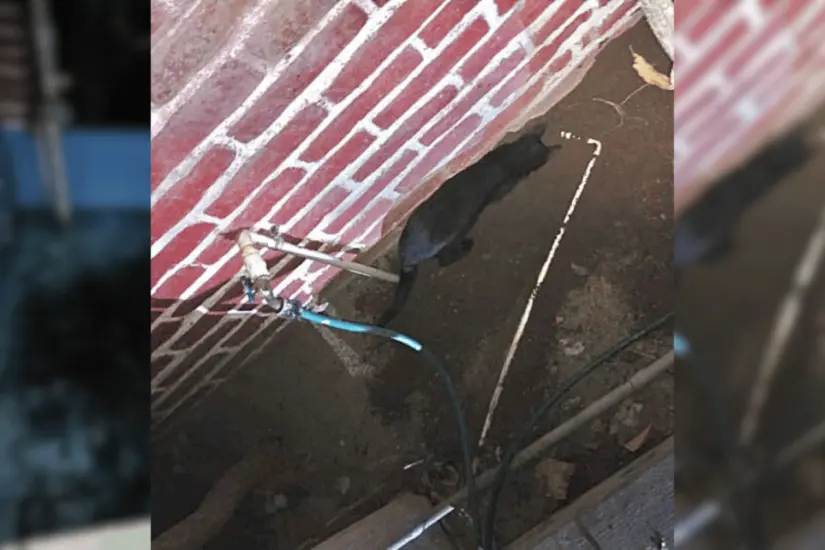 imagen recuadro imagen recuadro