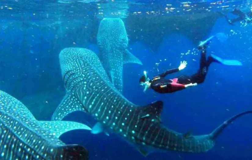 imagen recuadro imagen recuadro