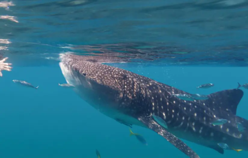 imagen recuadro imagen recuadro