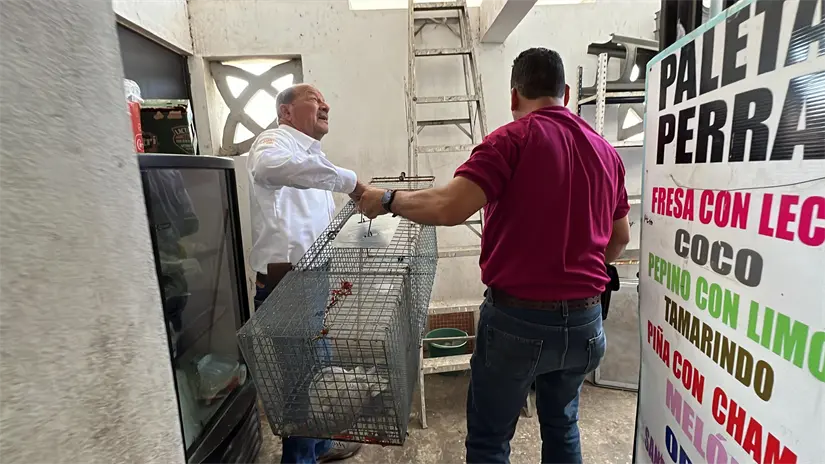 imagen recuadro imagen recuadro