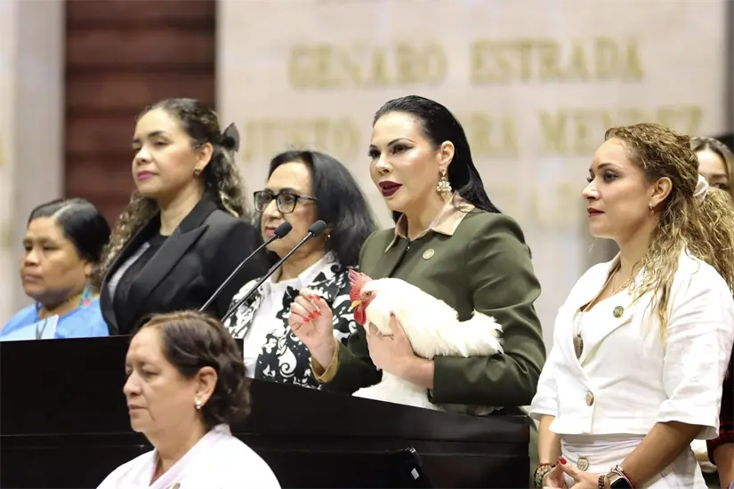 imagen recuadro imagen recuadro