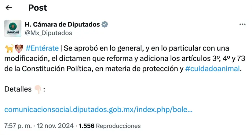 imagen recuadro imagen recuadro