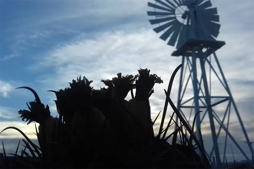 imagen recuadro imagen recuadro