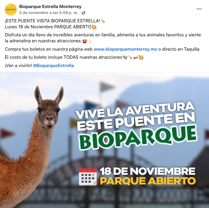 imagen recuadro