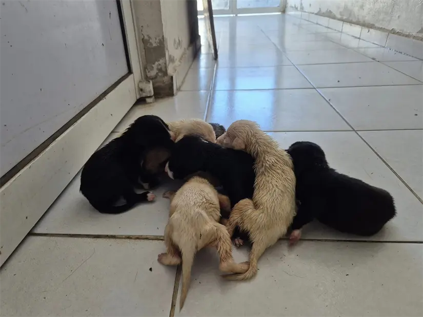 imagen recuadro imagen recuadro