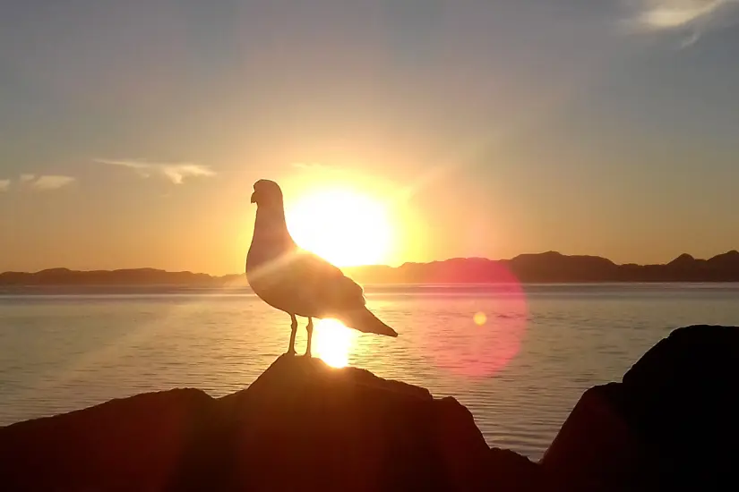 imagen recuadro imagen recuadro