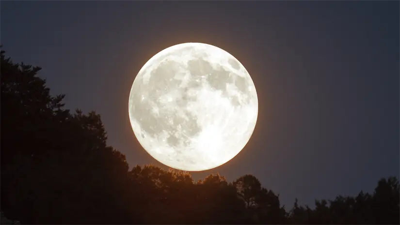 imagen recuadro imagen recuadro