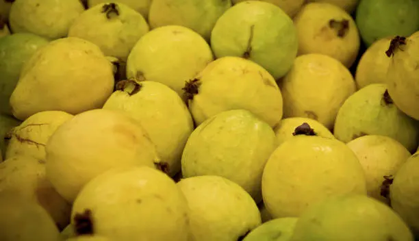 imagen recuadro imagen recuadro