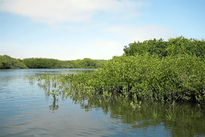 imagen recuadro imagen recuadro