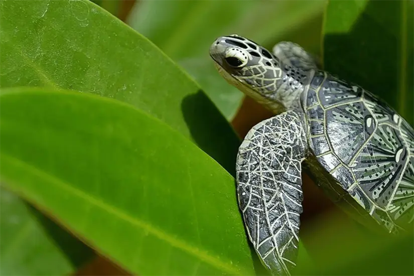 imagen recuadro imagen recuadro