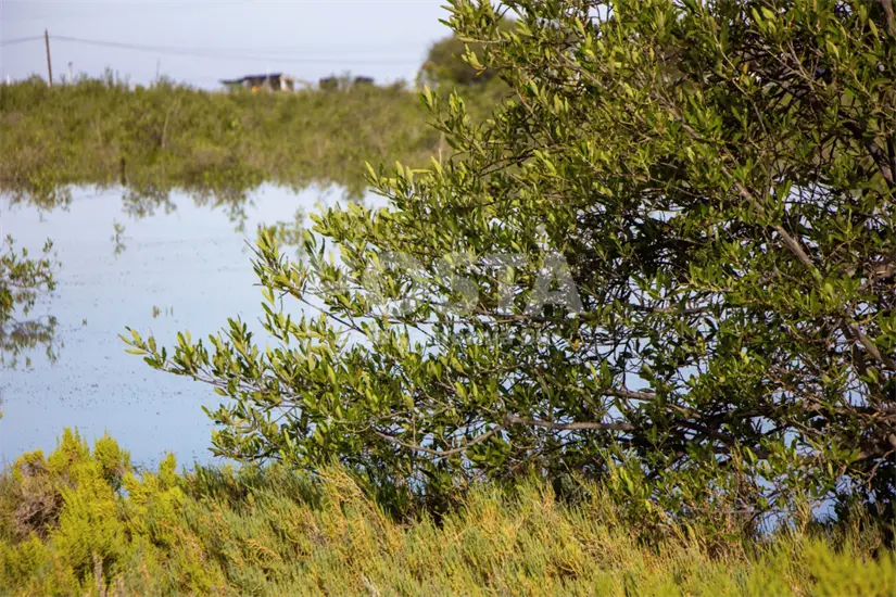 imagen recuadro imagen recuadro