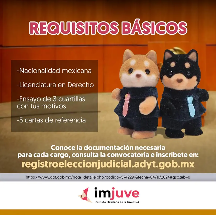 imagen recuadro imagen recuadro