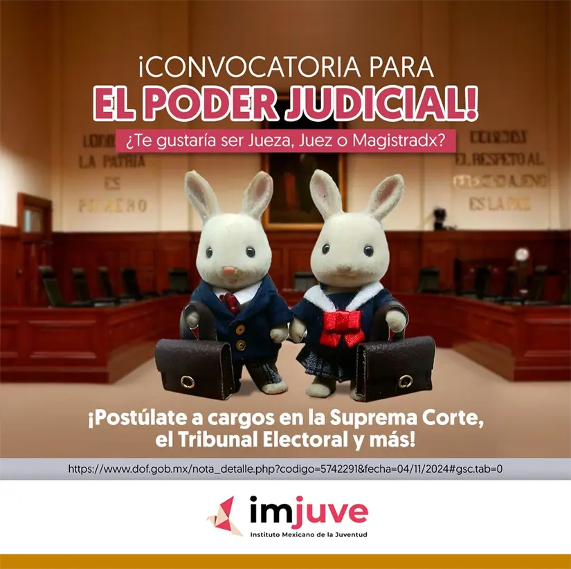imagen recuadro imagen recuadro