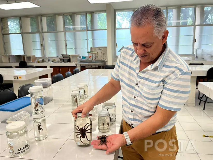 imagen recuadro imagen recuadro