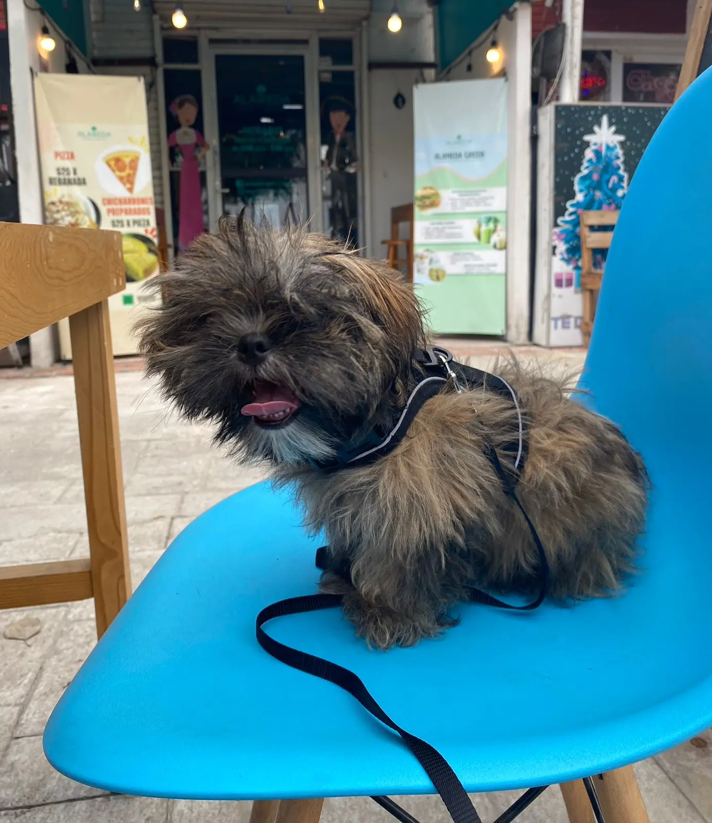 imagen recuadro imagen recuadro