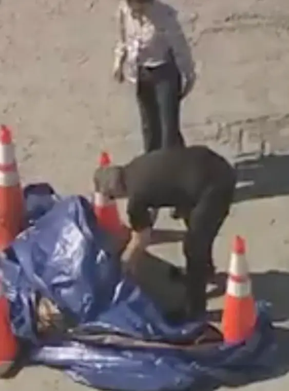 imagen recuadro imagen recuadro