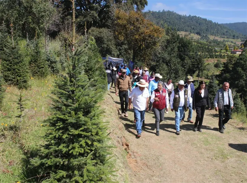 imagen recuadro imagen recuadro