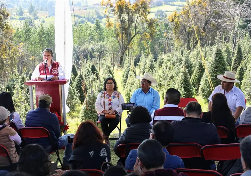 imagen recuadro imagen recuadro