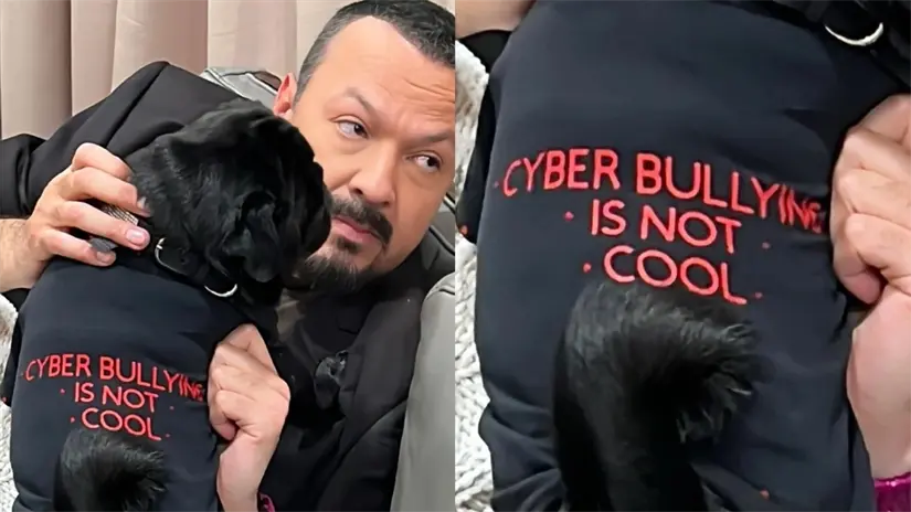 imagen recuadro imagen recuadro