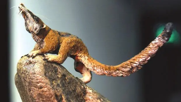 imagen recuadro imagen recuadro