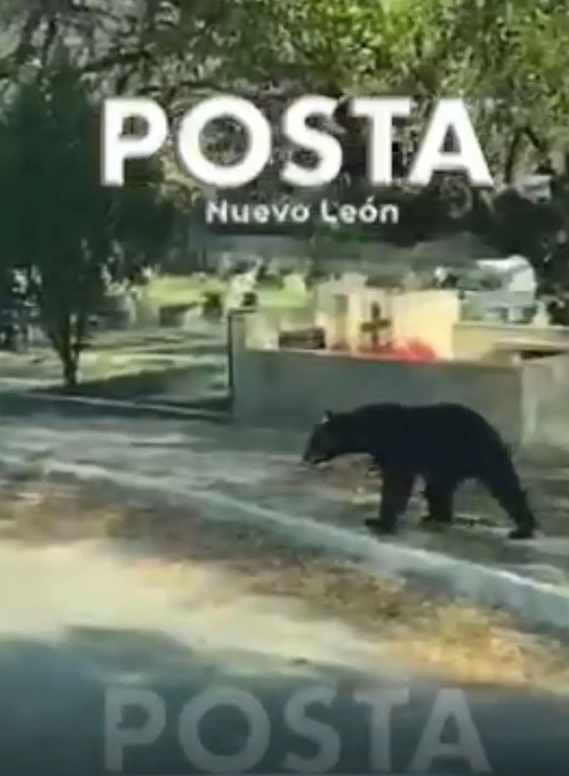 imagen recuadro imagen recuadro