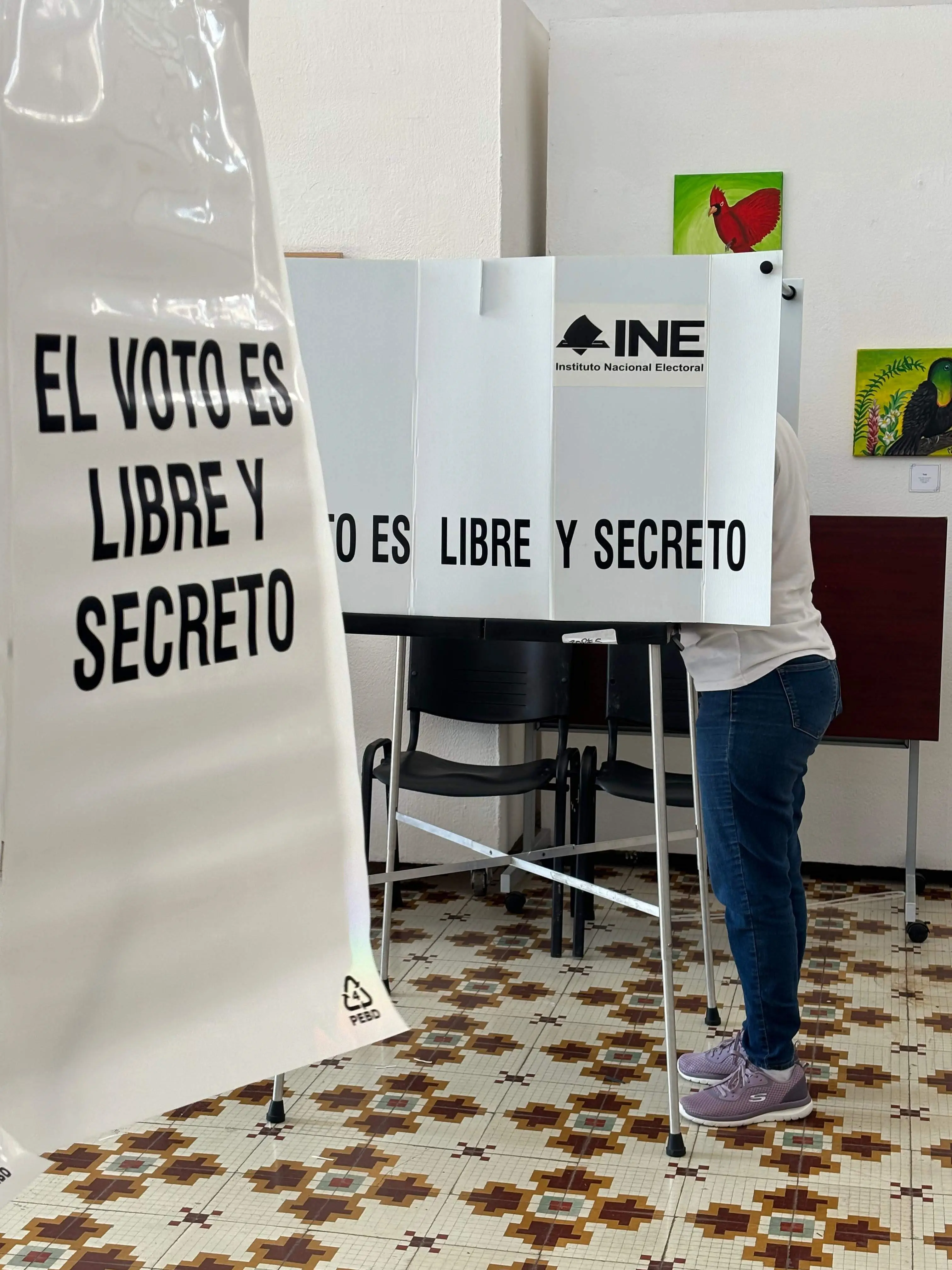 imagen recuadro