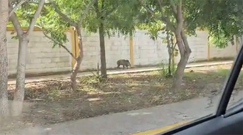 imagen recuadro imagen recuadro