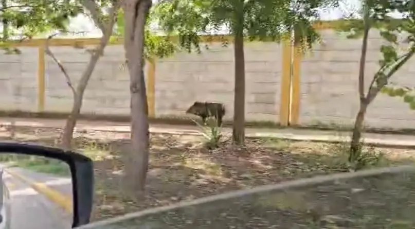 imagen recuadro imagen recuadro