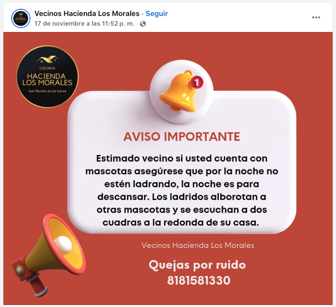imagen recuadro