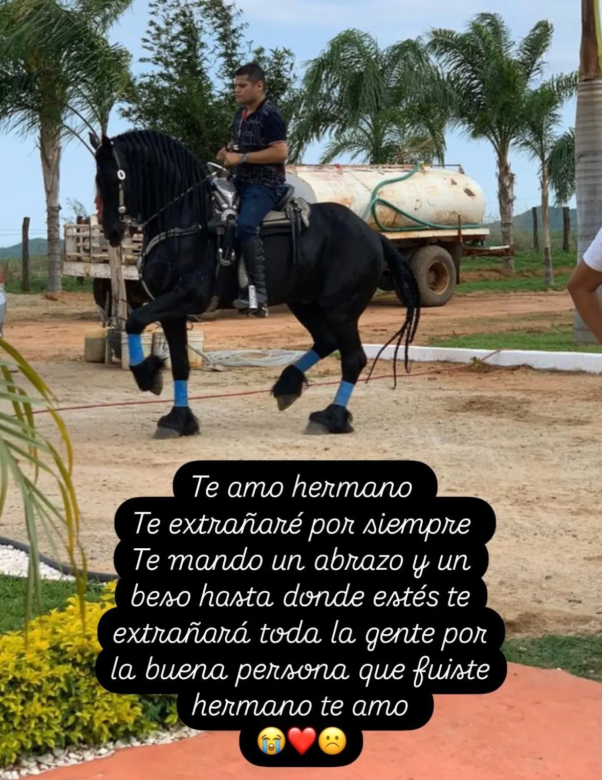 imagen recuadro imagen recuadro