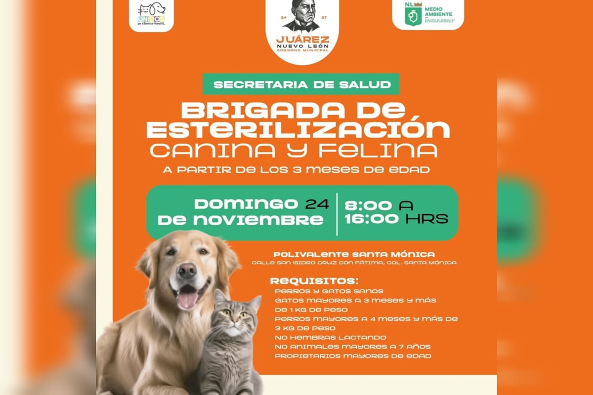 imagen recuadro