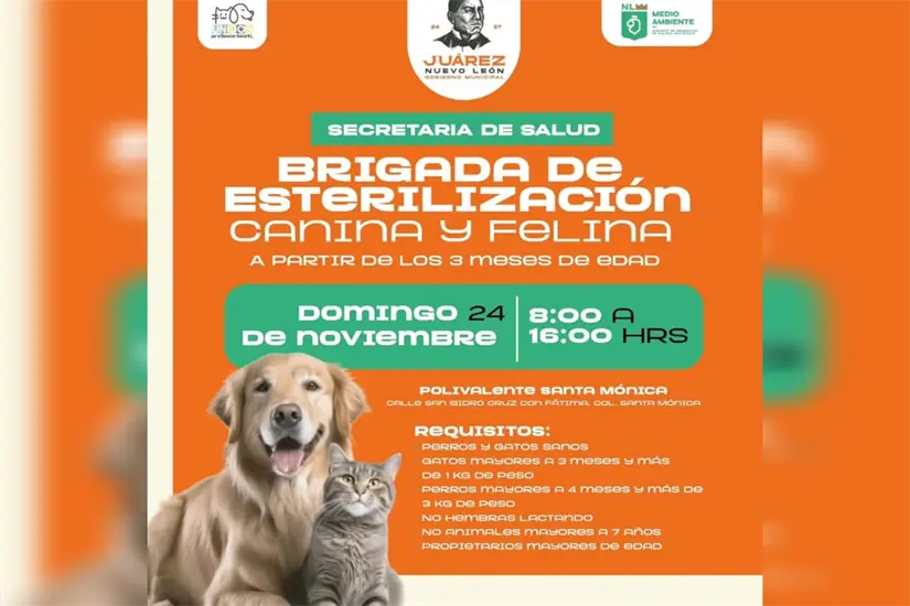 imagen recuadro