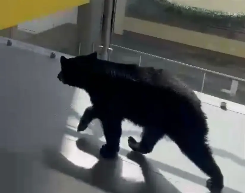 imagen recuadro imagen recuadro