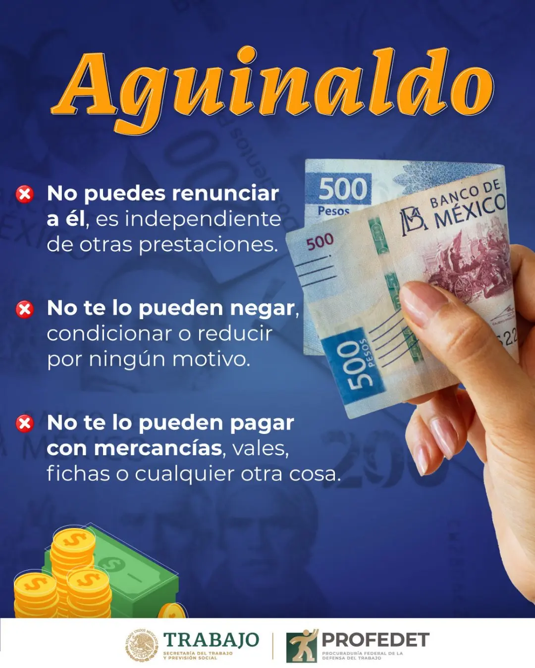 imagen recuadro imagen recuadro