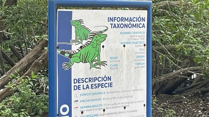 imagen recuadro