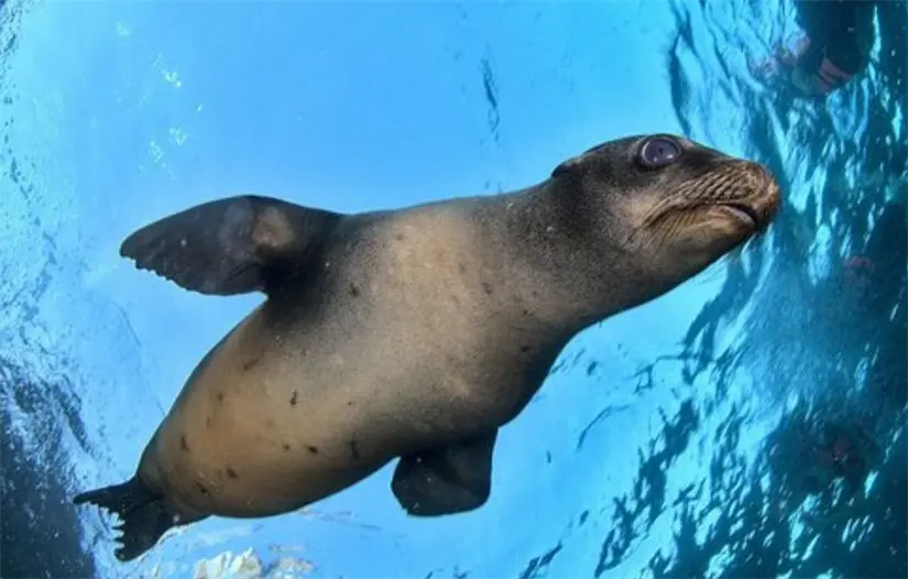 imagen recuadro imagen recuadro