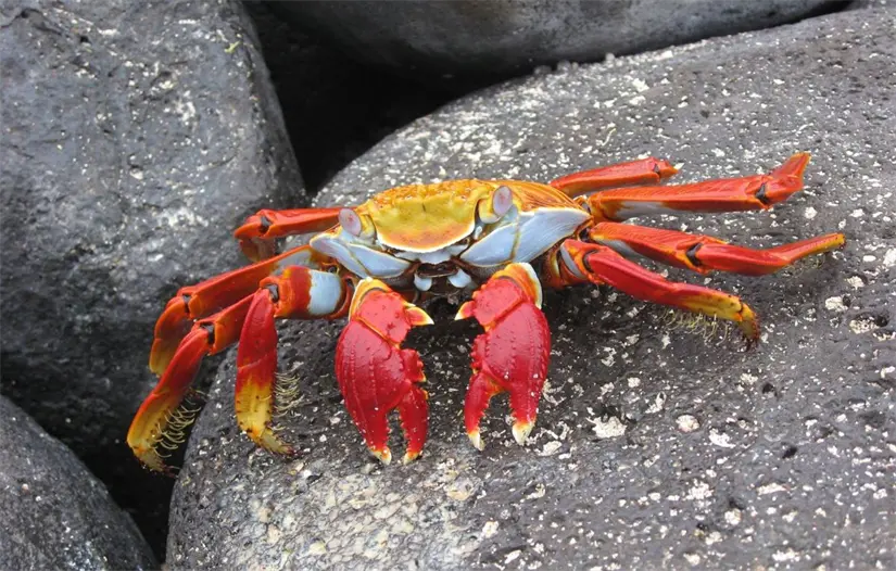 imagen recuadro imagen recuadro