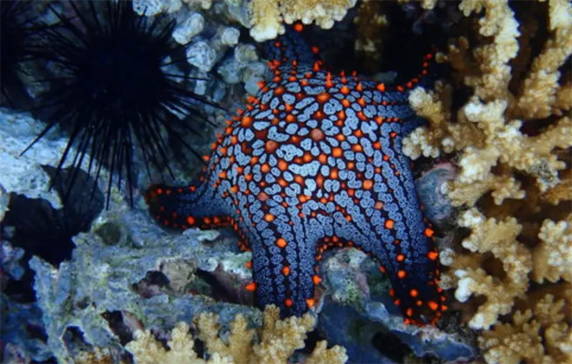 imagen recuadro imagen recuadro