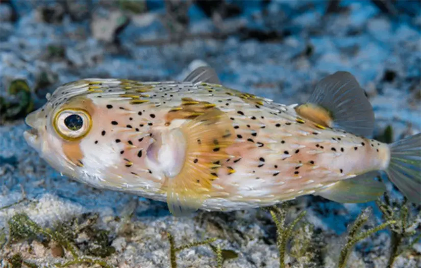 imagen recuadro imagen recuadro