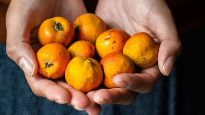 imagen recuadro imagen recuadro