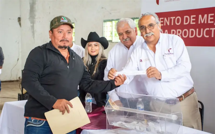 imagen recuadro