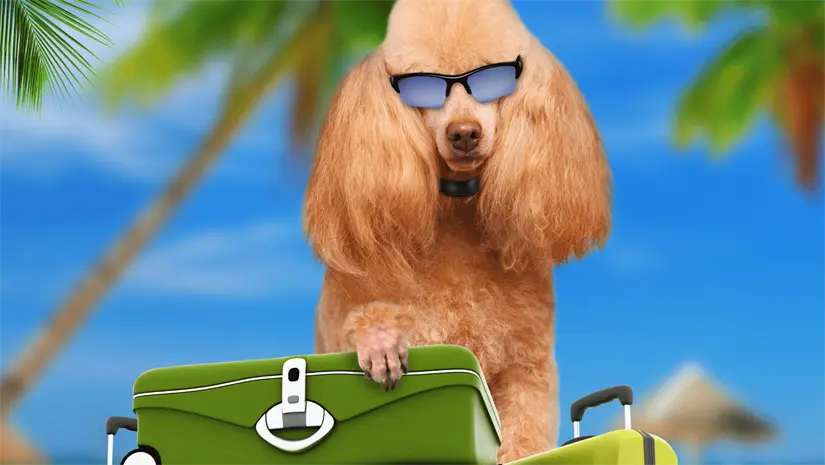 imagen recuadro imagen recuadro