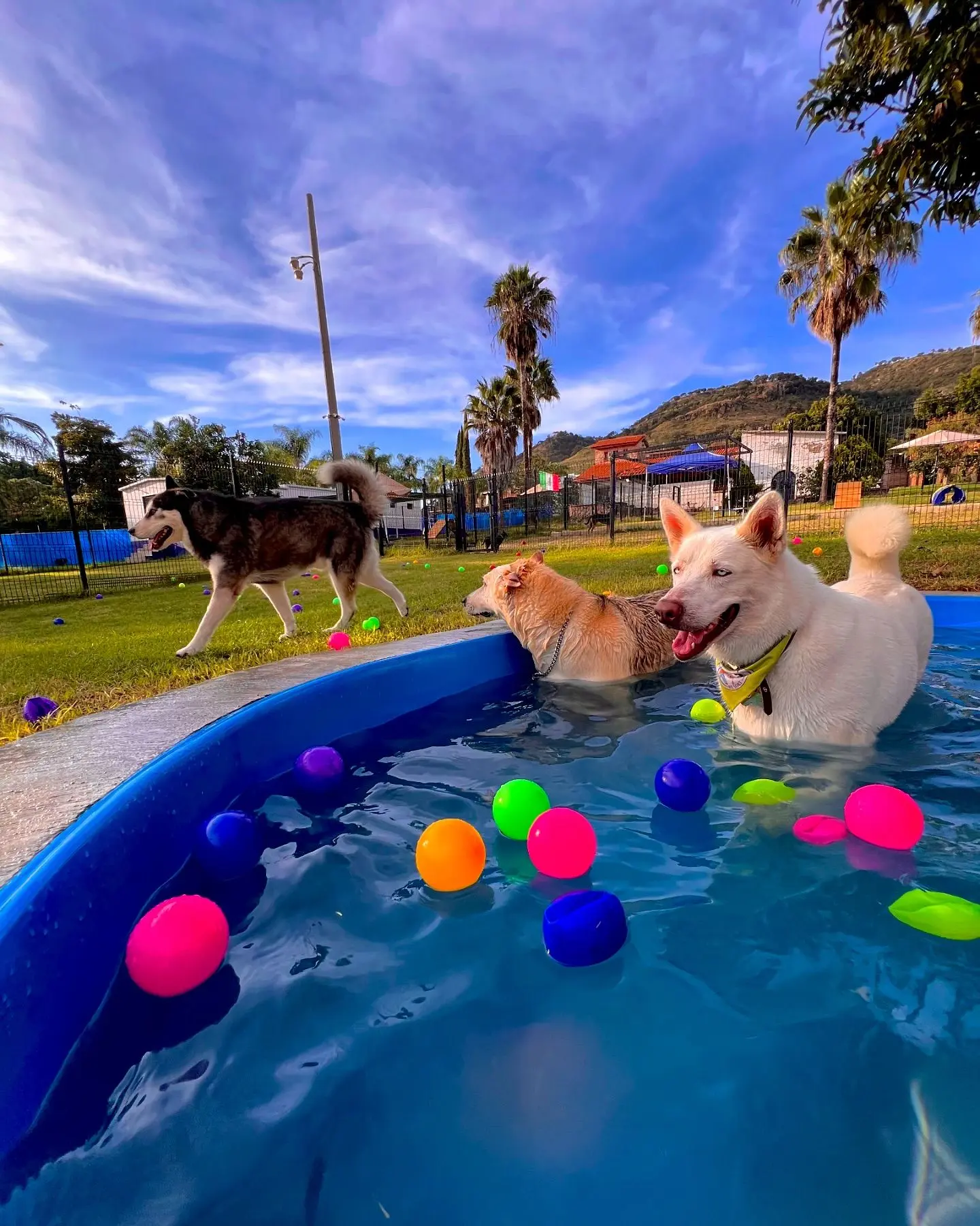 imagen recuadro imagen recuadro