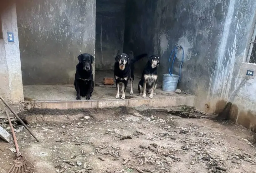 imagen recuadro imagen recuadro