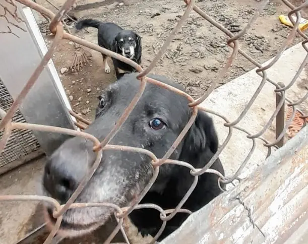 imagen recuadro imagen recuadro